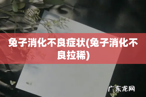 兔子消化不良拉稀 兔子消化不良症状