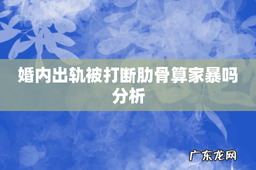 婚内出轨被打断肋骨算家暴吗分析
