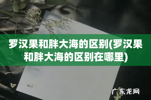 罗汉果和胖大海的区别在哪里 罗汉果和胖大海的区别