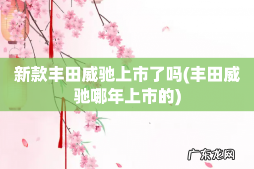 丰田威驰哪年上市的 新款丰田威驰上市了吗
