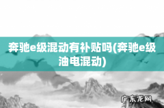 奔驰e级油电混动 奔驰e级混动有补贴吗
