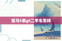 宝马5系gt二手车怎样