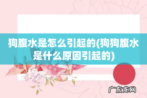 狗狗腹水是什么原因引起的 狗腹水是怎么引起的