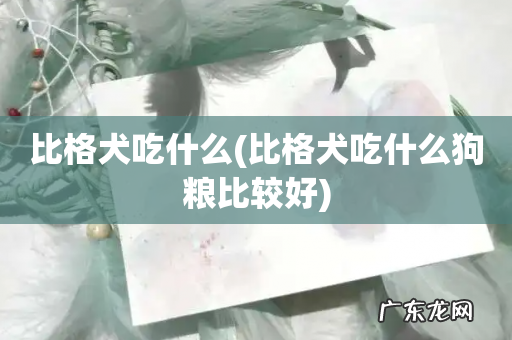 比格犬吃什么狗粮比较好 比格犬吃什么