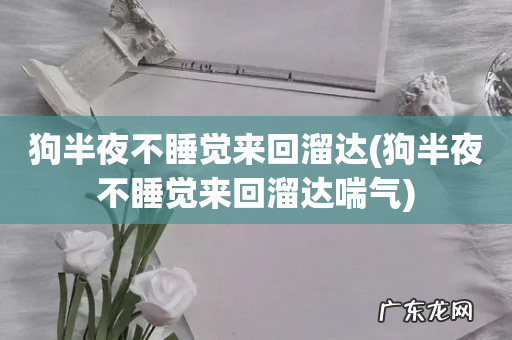 狗半夜不睡觉来回溜达喘气 狗半夜不睡觉来回溜达
