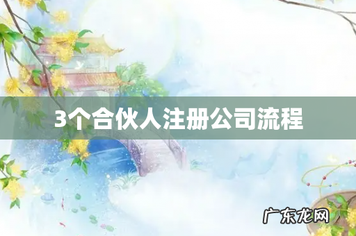 3个合伙人注册公司流程