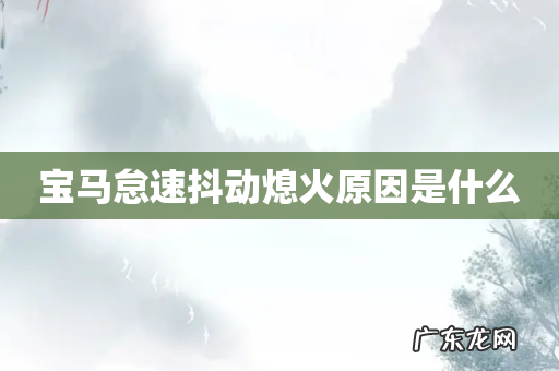 宝马怠速抖动熄火原因是什么