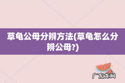 草龟怎么分辨公母? 草龟公母分辨方法