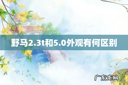 野马2.3t和5.0外观有何区别