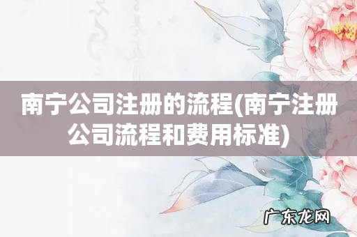 南宁注册公司流程和费用标准 南宁公司注册的流程