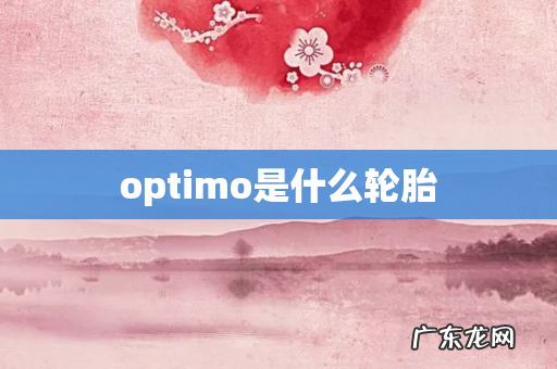 optimo是什么轮胎