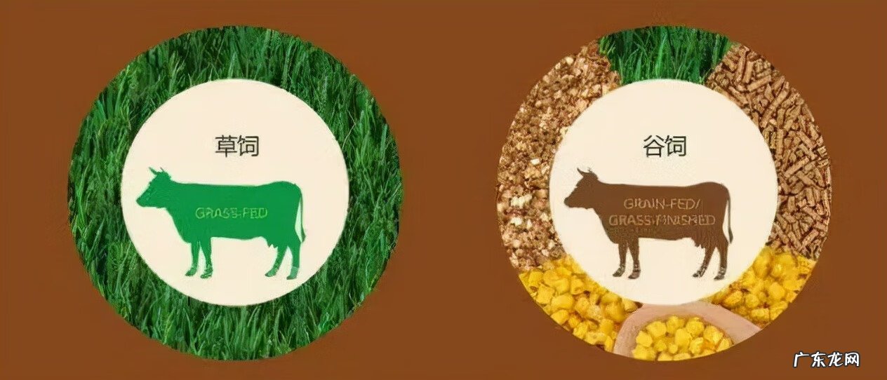 3段奶粉口碑最好的前十名 金领冠奶粉怎么样口碑