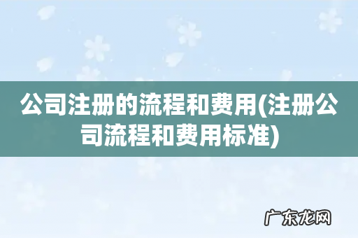 注册公司流程和费用标准 公司注册的流程和费用