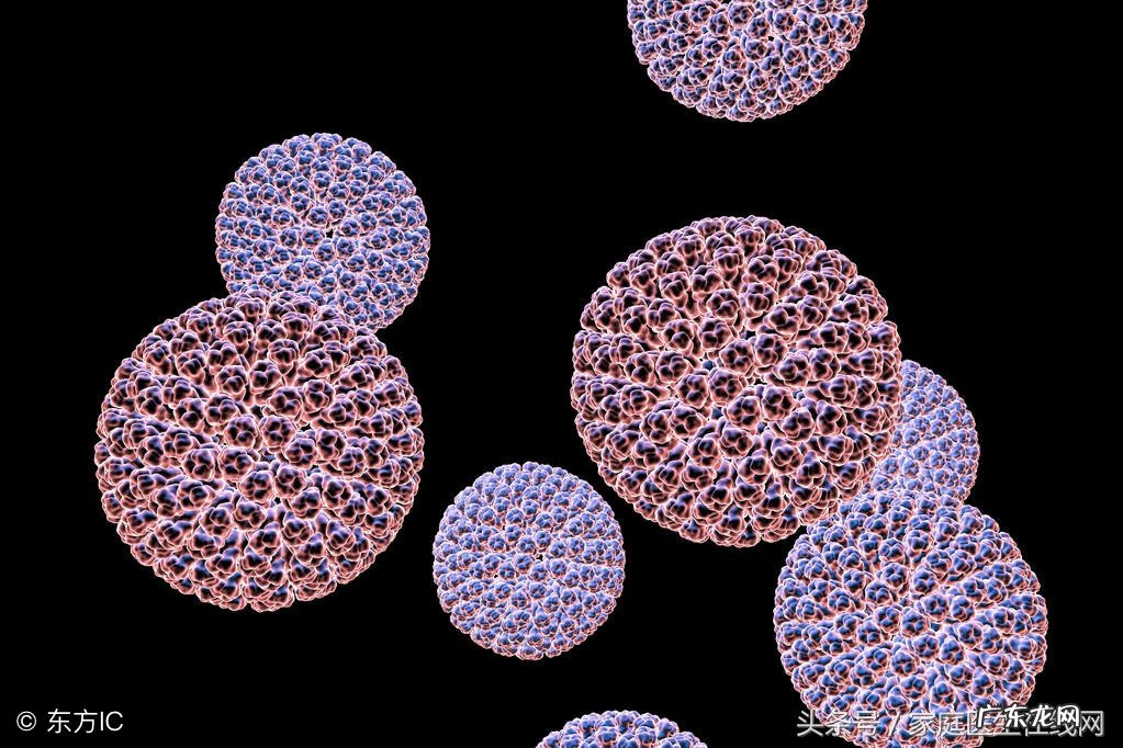 小儿轮状病毒症状