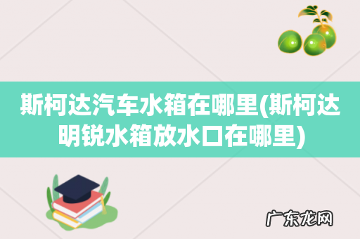 斯柯达明锐水箱放水口在哪里 斯柯达汽车水箱在哪里