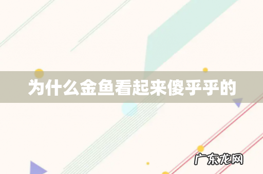 为什么金鱼看起来傻乎乎的