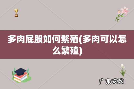 多肉可以怎么繁殖 多肉屁股如何繁殖