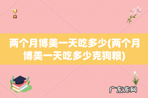 两个月博美一天吃多少克狗粮 两个月博美一天吃多少