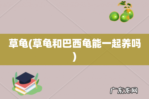 草龟和巴西龟能一起养吗 草龟