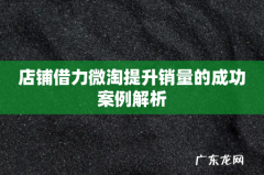 店铺借力微淘提升销量的成功案例解析