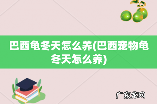 巴西宠物龟冬天怎么养 巴西龟冬天怎么养