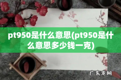 pt950是什么意思多少钱一克 pt950是什么意思