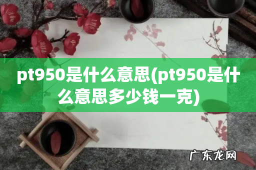 pt950是什么意思多少钱一克 pt950是什么意思