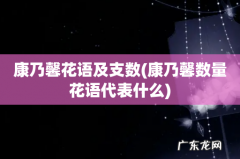 康乃馨数量花语代表什么 康乃馨花语及支数