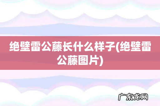 绝壁雷公藤图片 绝壁雷公藤长什么样子