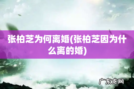 张柏芝因为什么离的婚 张柏芝为何离婚