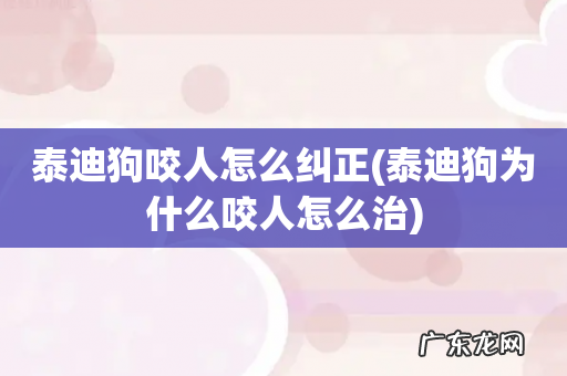 泰迪狗为什么咬人怎么治 泰迪狗咬人怎么纠正