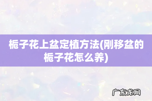 刚移盆的栀子花怎么养 栀子花上盆定植方法