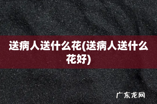 送病人送什么花好 送病人送什么花