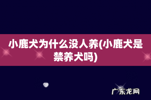 小鹿犬是禁养犬吗 小鹿犬为什么没人养