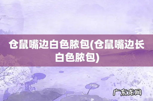 仓鼠嘴边长白色脓包 仓鼠嘴边白色脓包