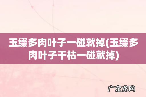 玉缀多肉叶子干枯一碰就掉 玉缀多肉叶子一碰就掉