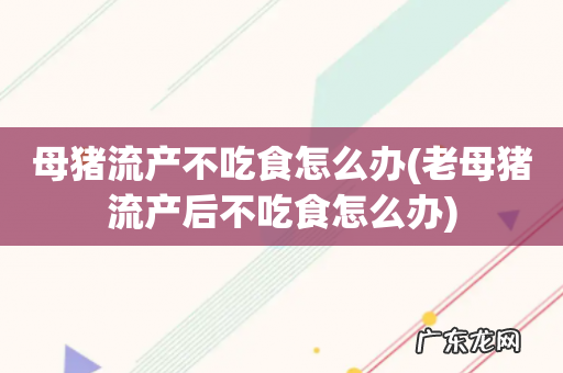 老母猪流产后不吃食怎么办 母猪流产不吃食怎么办