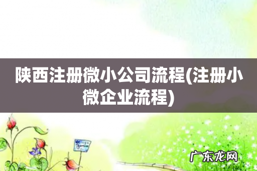 注册小微企业流程 陕西注册微小公司流程
