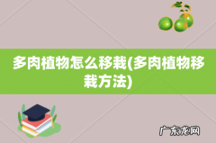 多肉植物移栽方法 多肉植物怎么移栽
