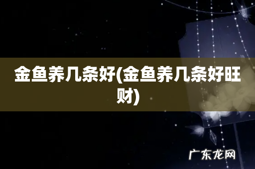 金鱼养几条好旺财 金鱼养几条好