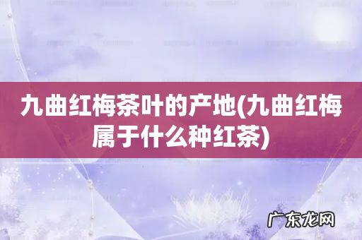 九曲红梅属于什么种红茶 九曲红梅茶叶的产地
