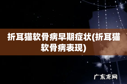 折耳猫软骨病表现 折耳猫软骨病早期症状