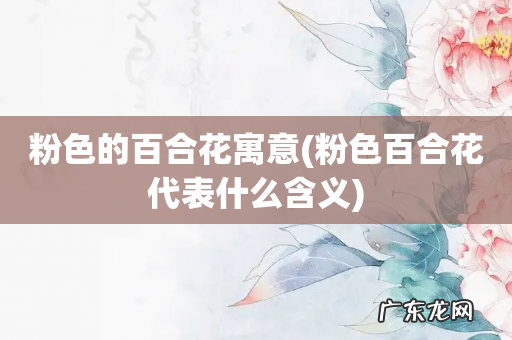 粉色百合花代表什么含义 粉色的百合花寓意