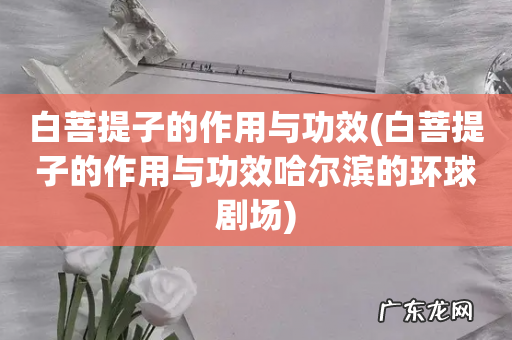 白菩提子的作用与功效哈尔滨的环球剧场 白菩提子的作用与功效