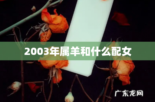 2003年属羊和什么配女