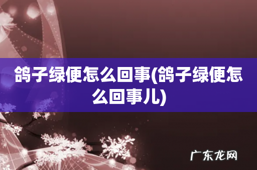 鸽子绿便怎么回事儿 鸽子绿便怎么回事