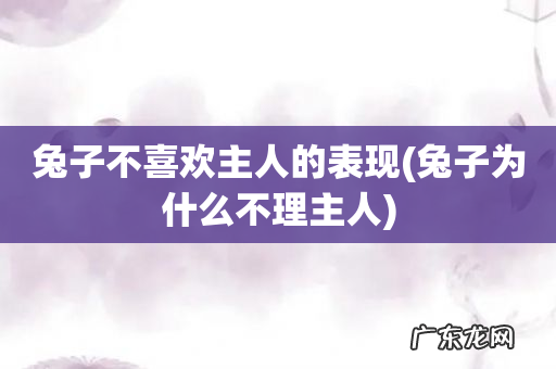 兔子为什么不理主人 兔子不喜欢主人的表现