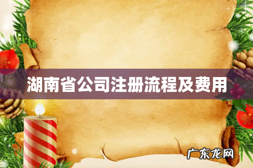 湖南省公司注册流程及费用