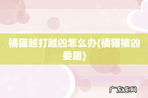 橘猫被凶委屈 橘猫越打越凶怎么办