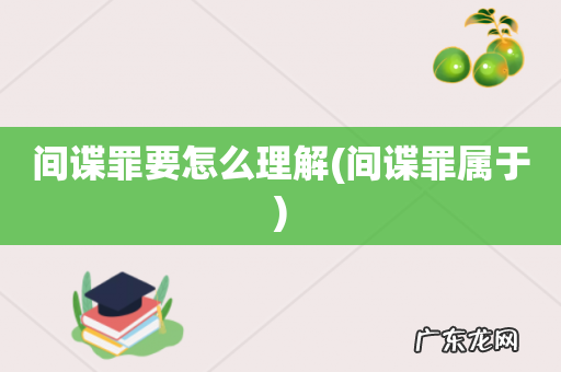 间谍罪属于 间谍罪要怎么理解